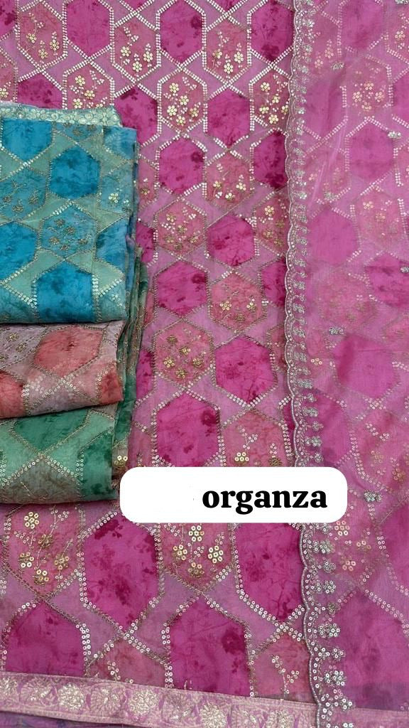 Organza Suit with Sequence work